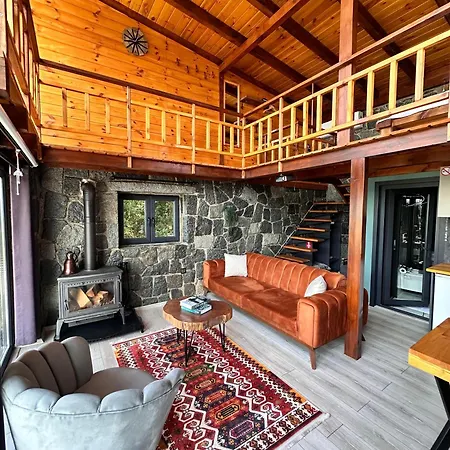 Novella Isikli (Rize)