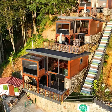 Novella Isikli (Rize)
